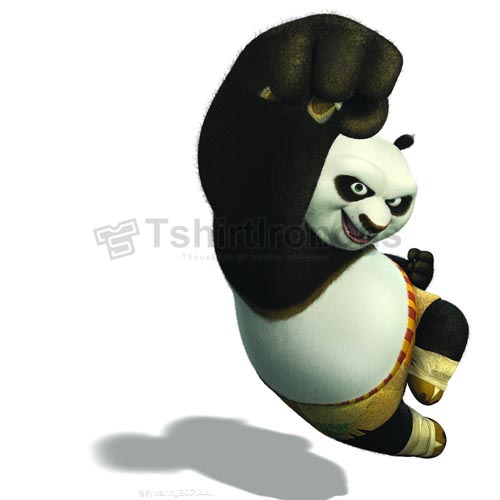 Kung Fu Panda T-shirts Iron On Transfers N2683